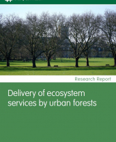 Delivery of Ecosystem Services by Urban Forests